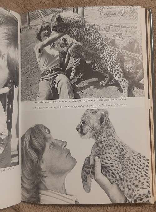 The Cheetahs of De Wildt.  Author: Ann Van Dyk