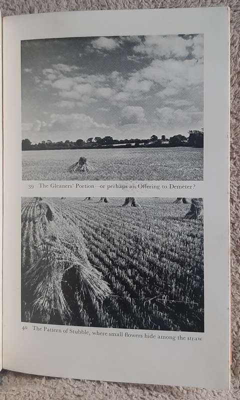 Corn Country  Author: C. Henry Warren