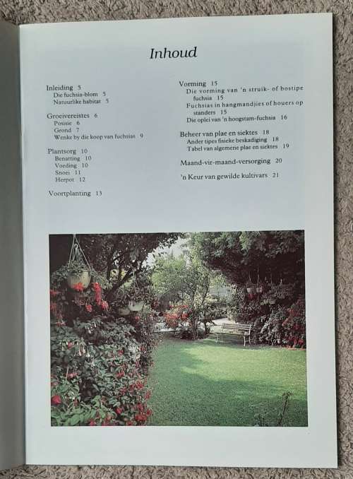 Fuchsias  Author: Joy Kessler