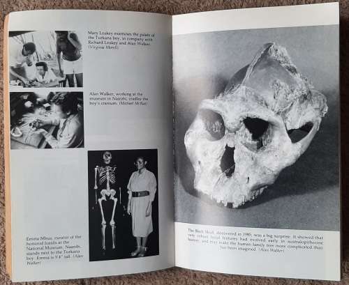 Origins Reconsidered: In search of what makes us Human  Author: Richard Leakey and Roger Lewin