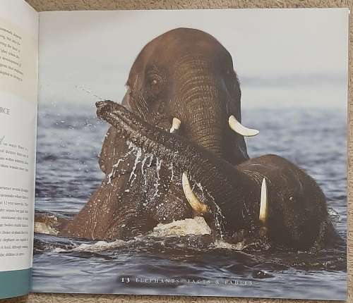Elephants: Facts and Fables - Author: Rudi J Van Aarde