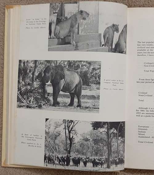 Moçambique - Author: C. F. Spence