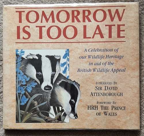 Tomorrow is Too Late - Author: Franklyn Perring and John Paige