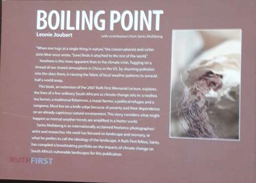 Boiling Point - Leonie Joubert