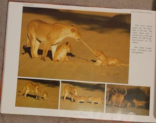 Ousus...van die Kalahari - Author: Piet Heymans and Henriëtte Engelbrecht