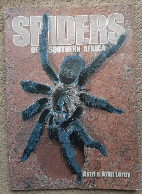 Spiders of Southern Africa - Author: Astri and John Leroy