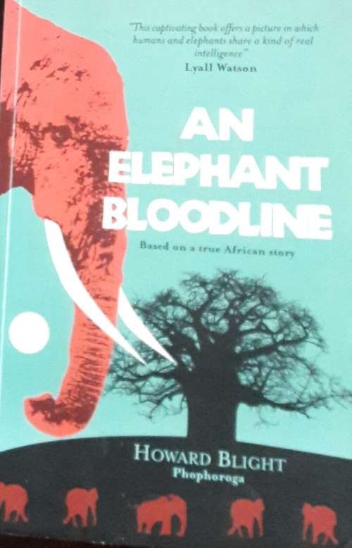 An Elephant Bloodline - Howard Blight