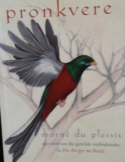 Pronkvere - Morne du Plessis