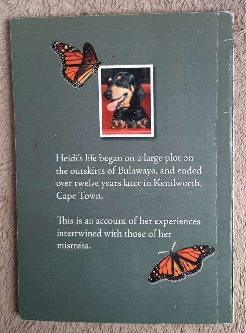 Through Heidi`s Eyes - Author: Denny Wright
