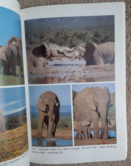 Addo More Than Just Elephants - Author: Colin Urquhart and Norbert Klages