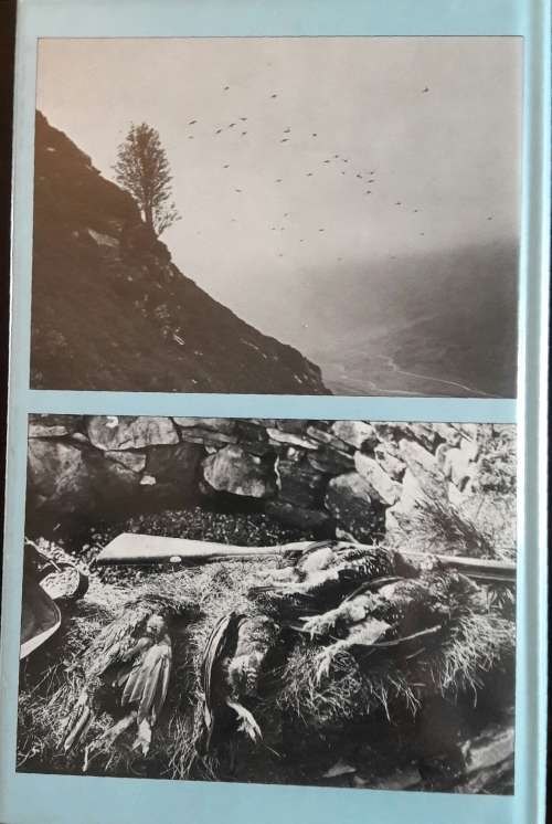 Grouse and Gun - G.L. Carlisle