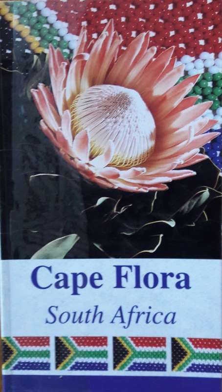 Cape Flora - South Africa