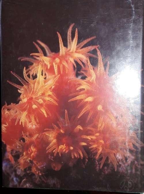 The Living Shores of Southern Africa - Margo and George Branch