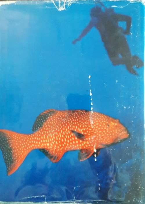 Underwater Africa - AL J. Venter