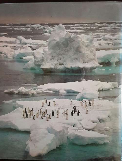 Antartica. Creina Bond and Roy Siegfried