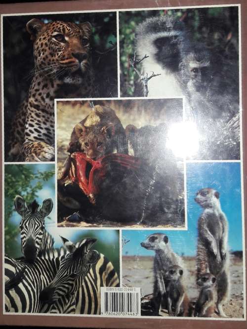 South African Animals in the Wild - Anthony Bannister