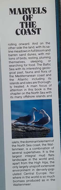Marvels of the Coast - Author: Klaus Gerosa, Beate Kuhn, Angelika Lang, ...