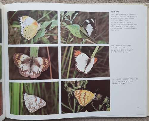 A guide to the Butterflies of Zambia - Author: Elliot Pinhey and Ian Loe