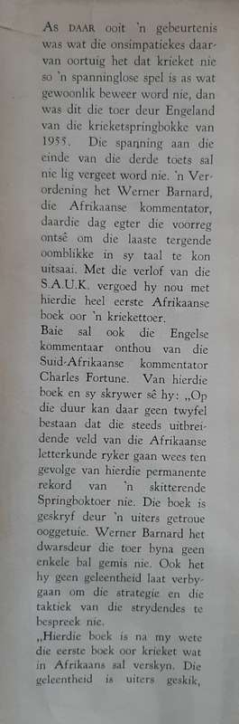 Amper Krieketkampioene - Author: Werner Barnard
