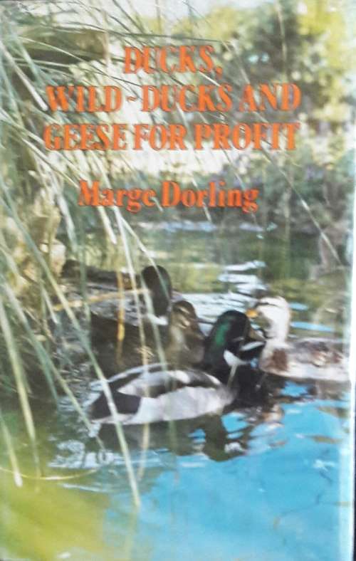 Ducks, Wild - Ducks and Geese for Profit - Marge Dorling