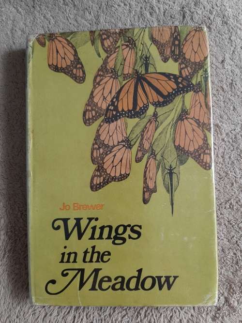 Wings in the Meadow - Author: Jo Brewer