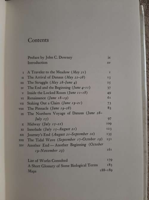 Wings in the Meadow - Author: Jo Brewer