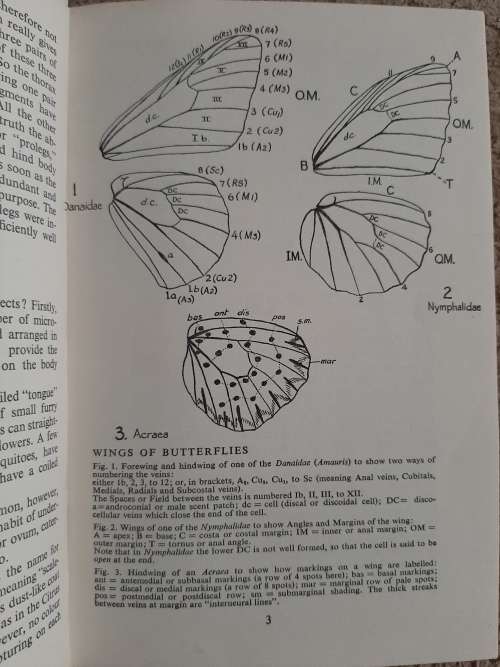 The Butterflies of Southern Africa - Author: Dr. E. Pinhey