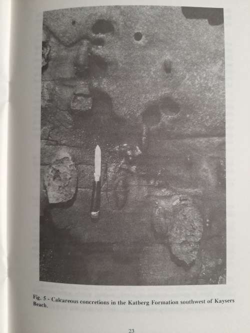 The Geology of the Grahamstown Area - Author: M.R. Johnson, Ph.D. and F.G. Le Roux, M.Sc.