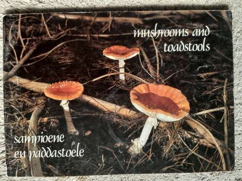 Mushrooms and Toadstools/Sampioene and Paddastoele - Author: G.C.A. van der Westhuizen