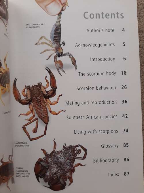 Scorpions of Southern Africa - Author: Jonathan Leeming