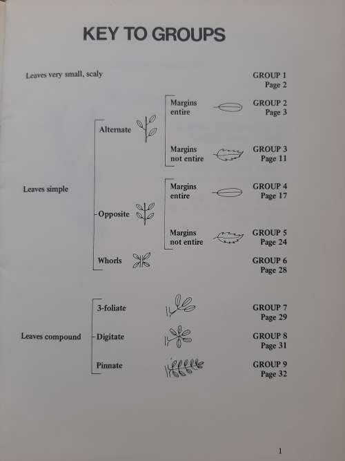 A Leaf Key to 45 Common Trees of Table Mountain - Author: P.A.S. Wilson
