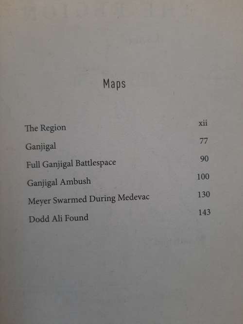 Into the Fire - Author: Dakota Meyer and Bing West
