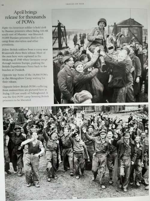 D-Day to Victory - Author: Maureen Hill
