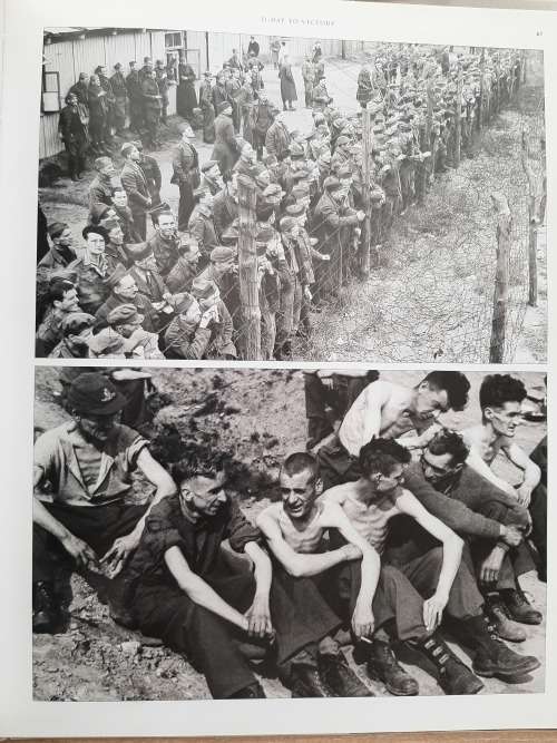 D-Day to Victory - Author: Maureen Hill