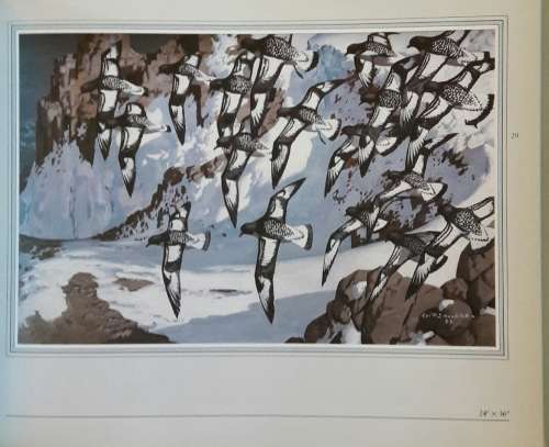 Wildlife and Wilderness - An Artist`s World