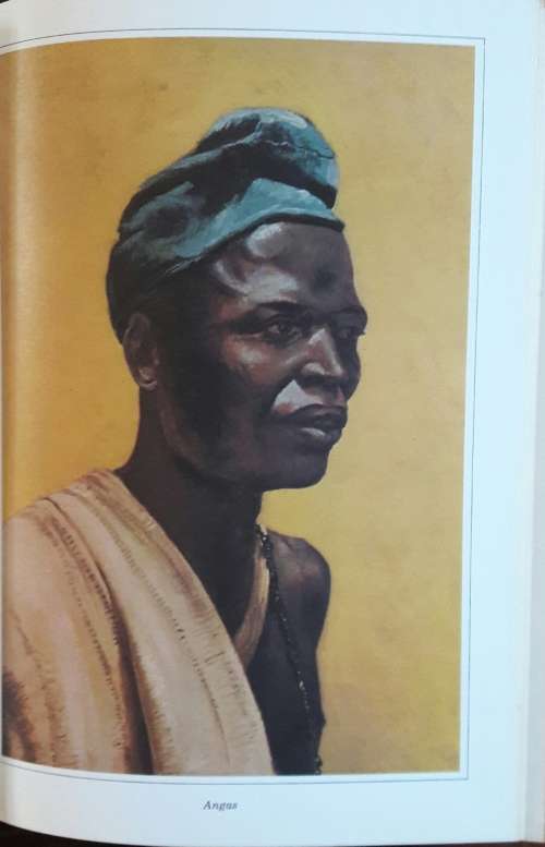 Faces North - Some peoples of Nigeria - Anthoney Kirk-Greene and Pauline Ryan