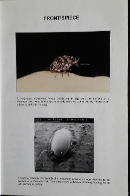Oviposition Behaviour - L W Strathie