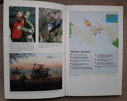 Chariots of the Damned: Airborne Rescues from Vietnam to Kosovo: Mike McKinney and Mike Ryan