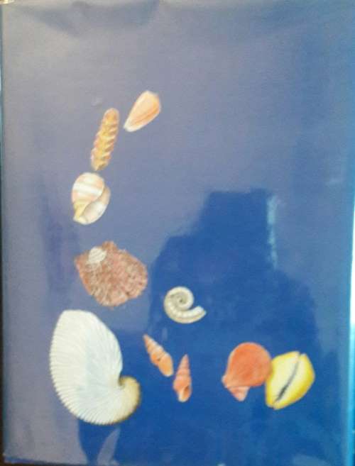 Sea Shells of  Southern Africa - Richard Kilburn and Elizabeth Rippey
