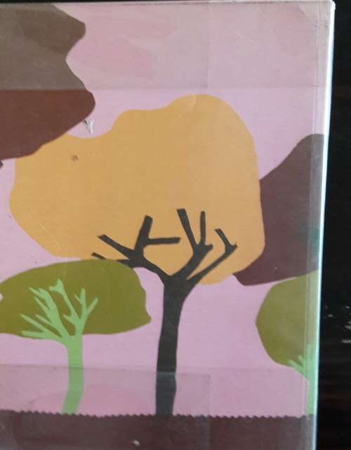 Trees and Shrubs of the Cape Peninsula