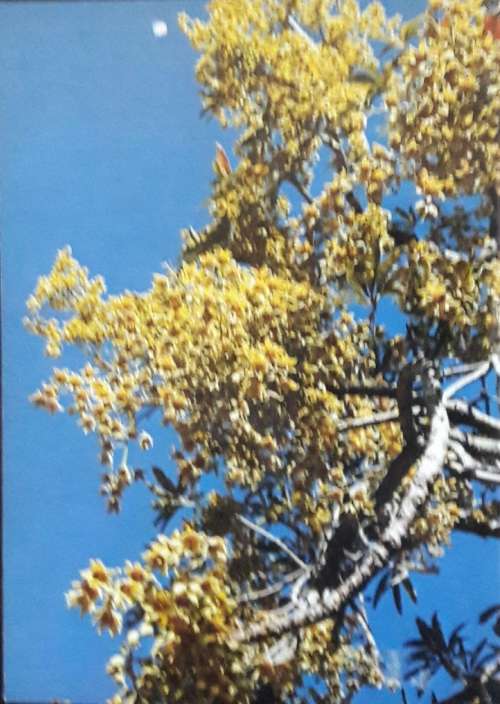 Transvaal Lowveld and Escarpment - Jo Onderstall