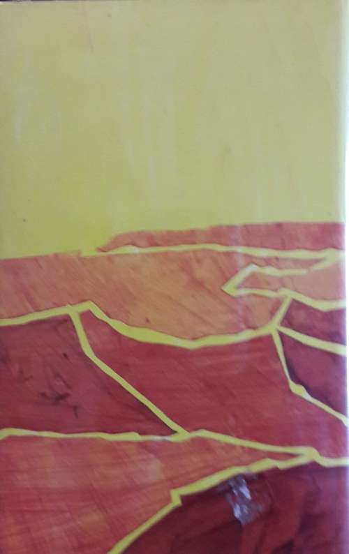 Inside the Cage - Laurie Du Preez