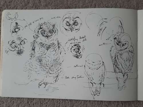 Animals Through the Eyes of an Artist - Author: Ralph Thompson