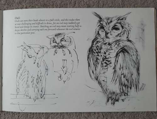 Animals Through the Eyes of an Artist - Author: Ralph Thompson