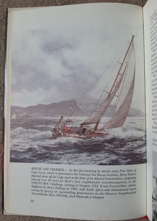 Reed in the Wind - Author: Roger Williams