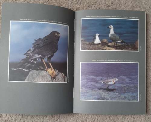Birds of the Southwestern Cape and Where to Watch Them - Author: Wally Petersen and Mel Tripp