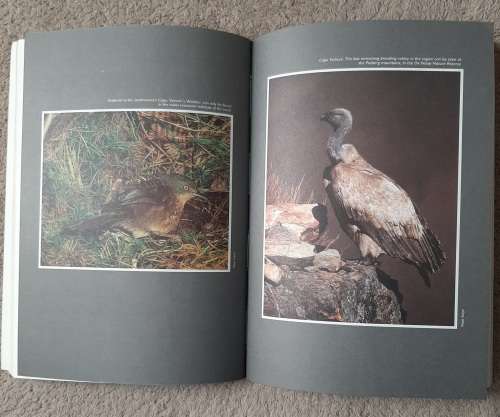 Birds of the Southwestern Cape and Where to Watch Them - Author: Wally Petersen and Mel Tripp