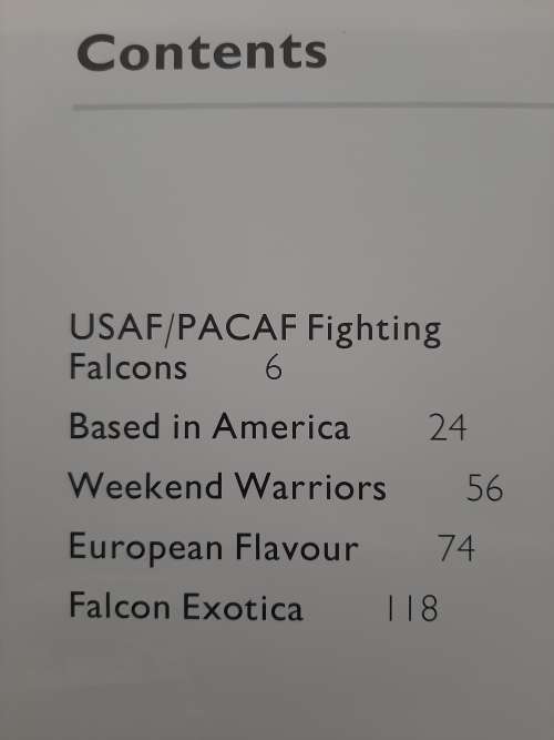 F-16 Fighting Falcon - Author: Roy Braybrook