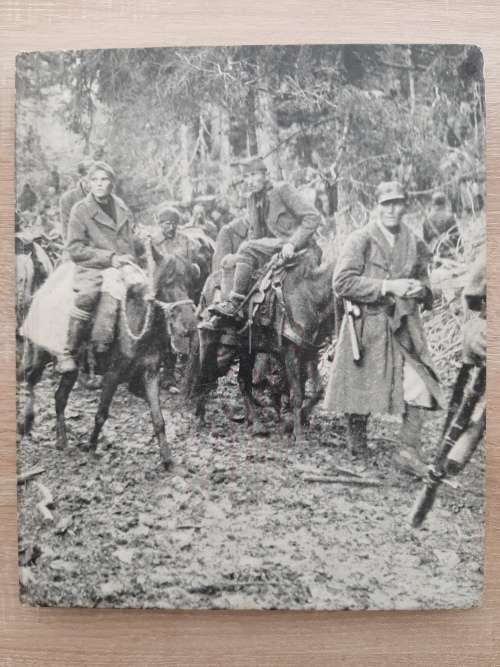 Partisans and Guerrillas(World War II) - Author: Ronald H. Bailey and Time-Life Editors