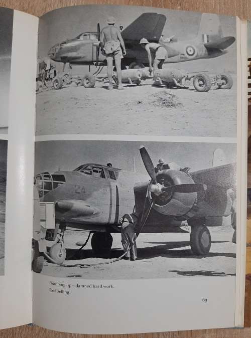 Buffoon in Flight - Author: Peter Atkins
